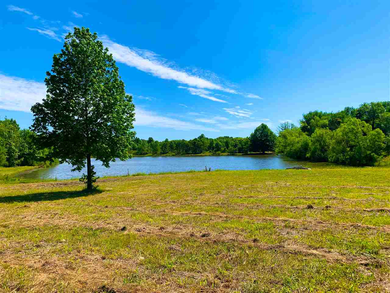1 Cox Ferry Road, Unit 1 Flora, MS 39071 - Photo 3 of 37 Photo 3