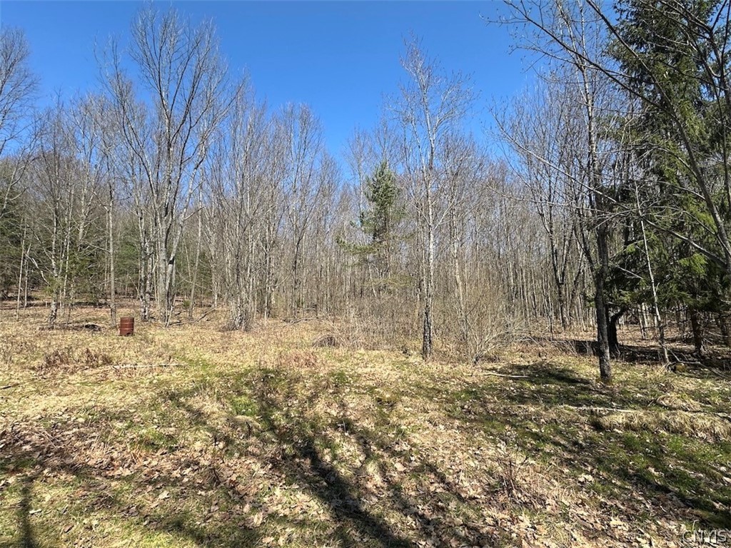 4319 Steenrod Road Friendship, NY 14739 - Photo 23 of 42