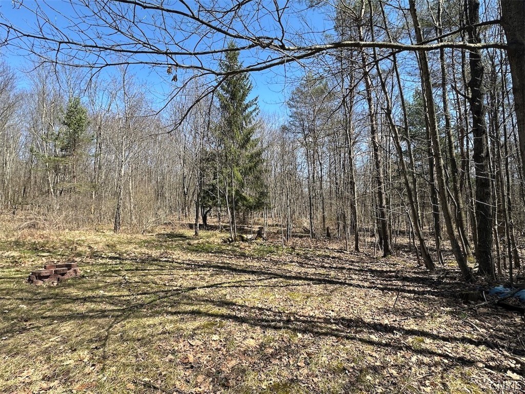 4319 Steenrod Road Friendship, NY 14739 - Photo 24 of 42