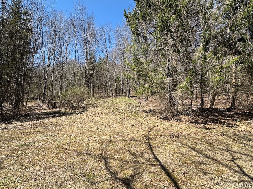 4319 Steenrod Road Friendship, NY 14739 - Photo 25 of 42