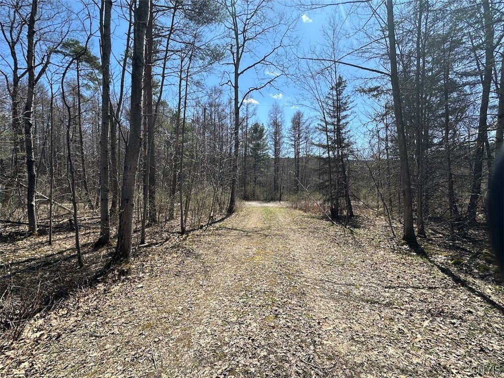 4319 Steenrod Road Friendship, NY 14739 - Photo 26 of 42