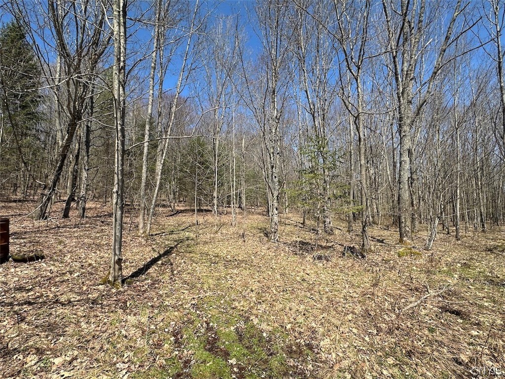 4319 Steenrod Road Friendship, NY 14739 - Photo 27 of 42