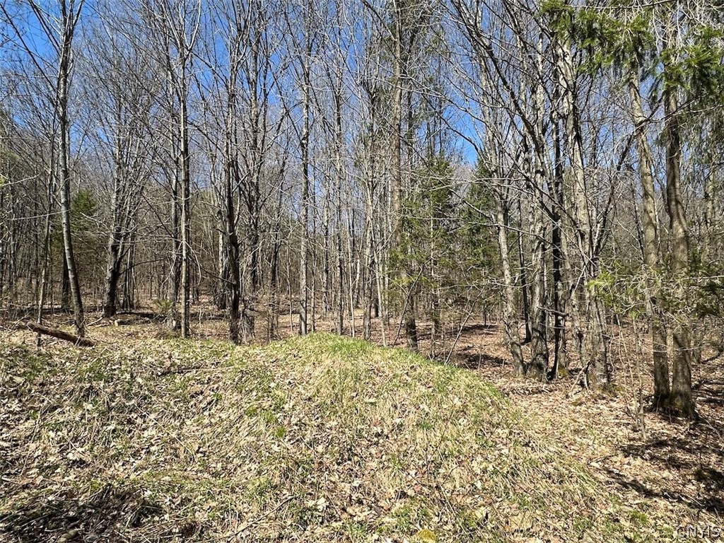 4319 Steenrod Road Friendship, NY 14739 - Photo 28 of 42