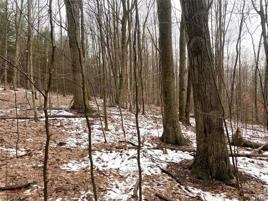 4319 Steenrod Road Friendship, NY 14739 - Photo 29 of 42