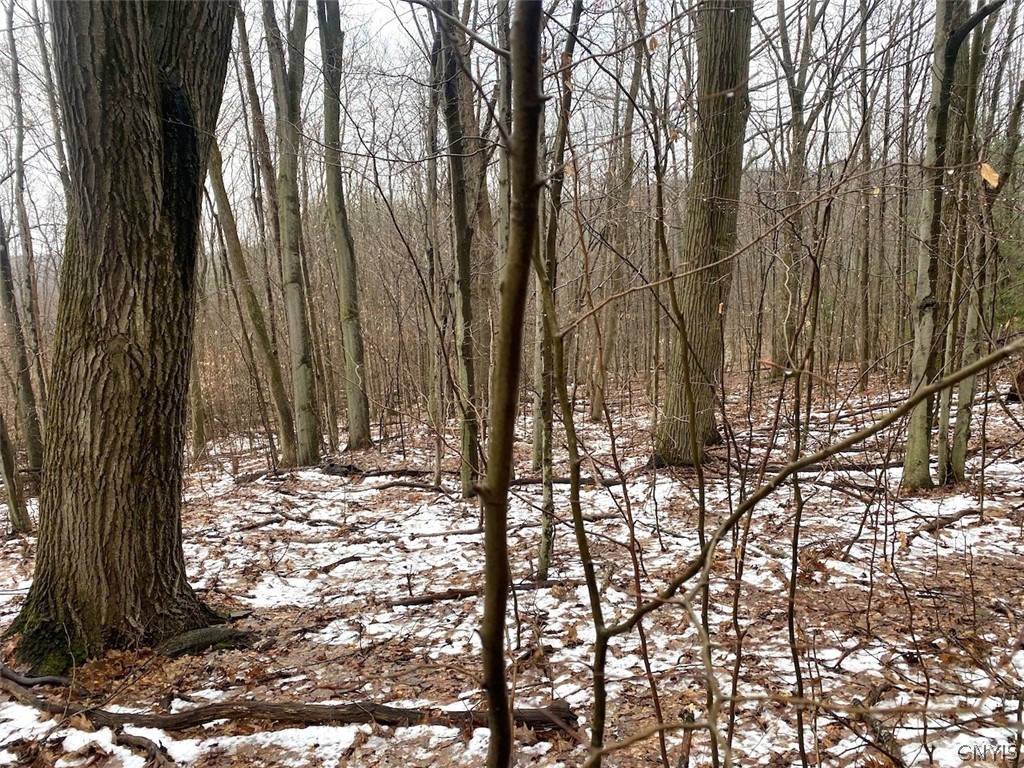 4319 Steenrod Road Friendship, NY 14739 - Photo 30 of 42