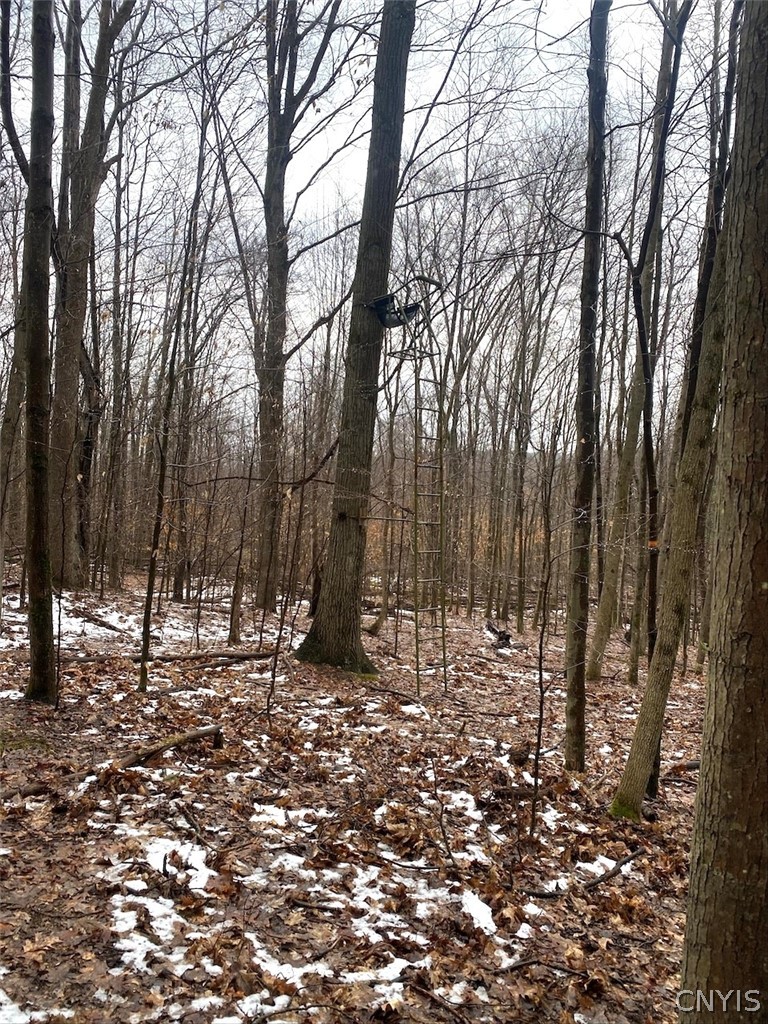 4319 Steenrod Road Friendship, NY 14739 - Photo 31 of 42