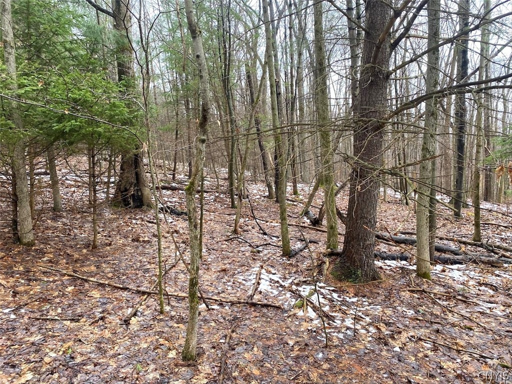 4319 Steenrod Road Friendship, NY 14739 - Photo 32 of 42