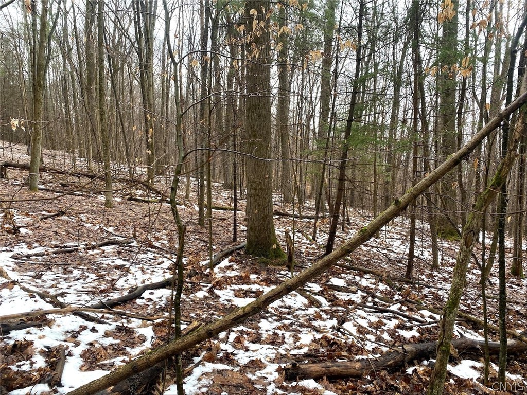 4319 Steenrod Road Friendship, NY 14739 - Photo 33 of 42