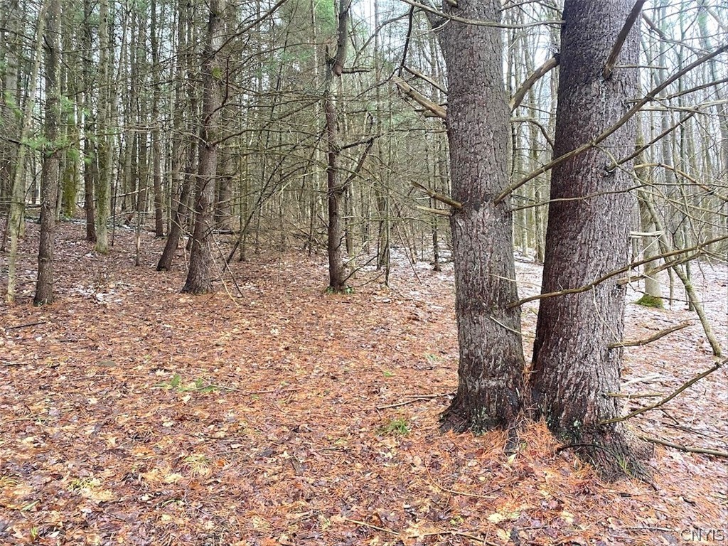 4319 Steenrod Road Friendship, NY 14739 - Photo 34 of 42