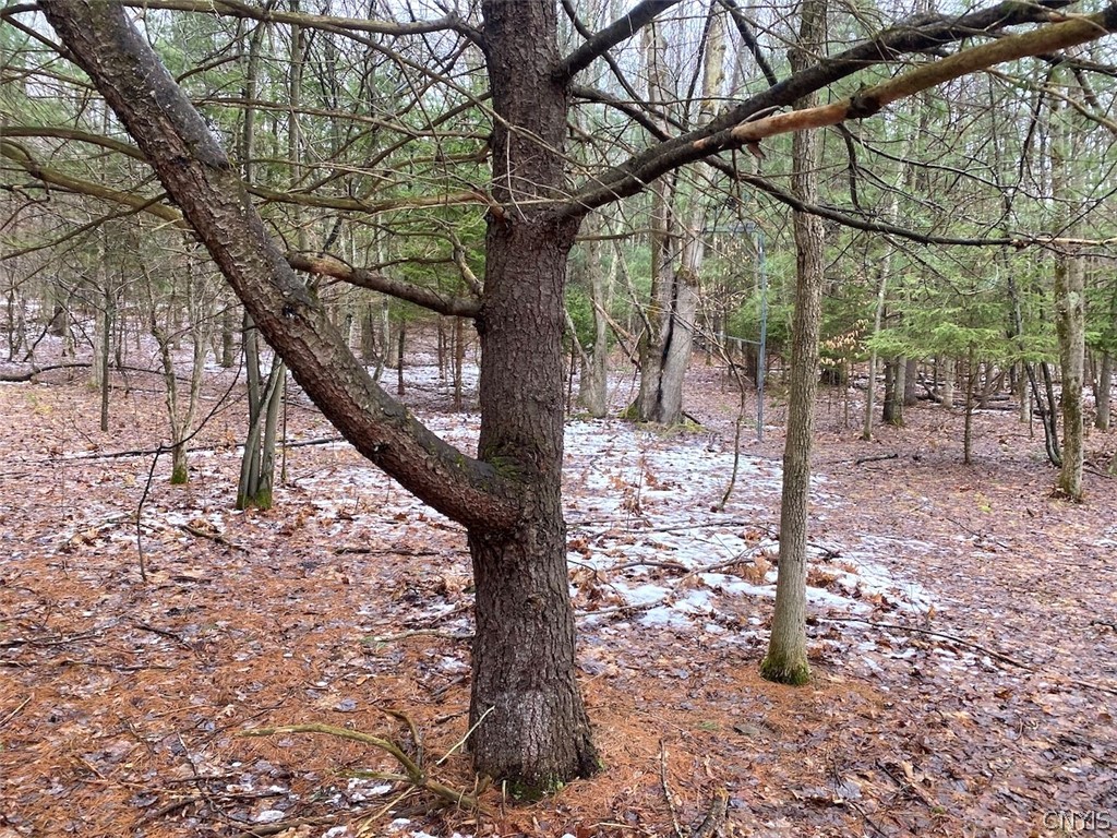 4319 Steenrod Road Friendship, NY 14739 - Photo 35 of 42