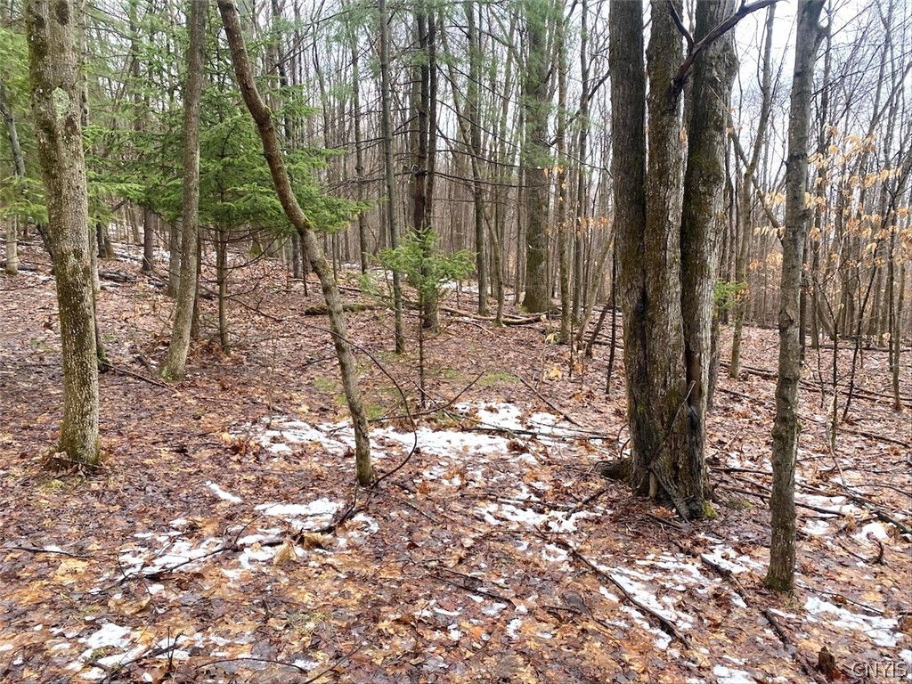 4319 Steenrod Road Friendship, NY 14739 - Photo 36 of 42