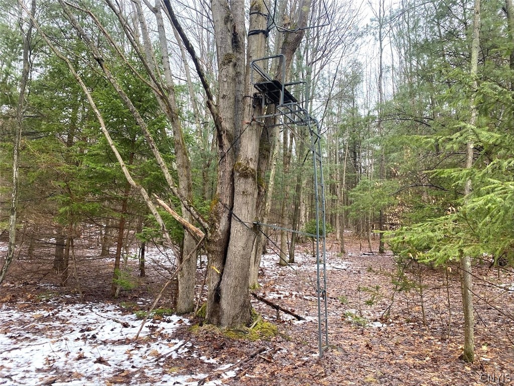 4319 Steenrod Road Friendship, NY 14739 - Photo 37 of 42