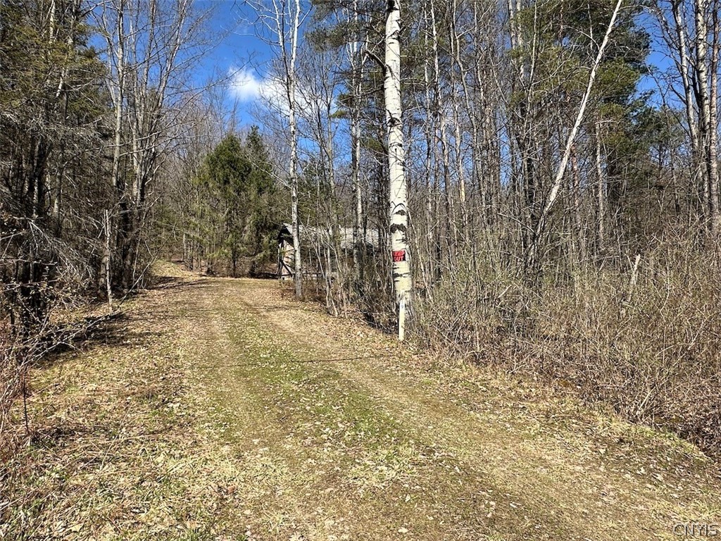 4319 Steenrod Road Friendship, NY 14739 - Photo 38 of 42