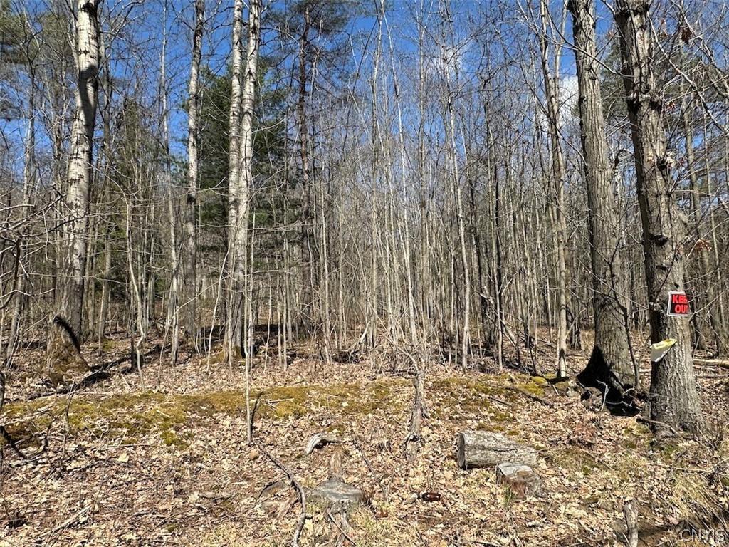 4319 Steenrod Road Friendship, NY 14739 - Photo 39 of 42