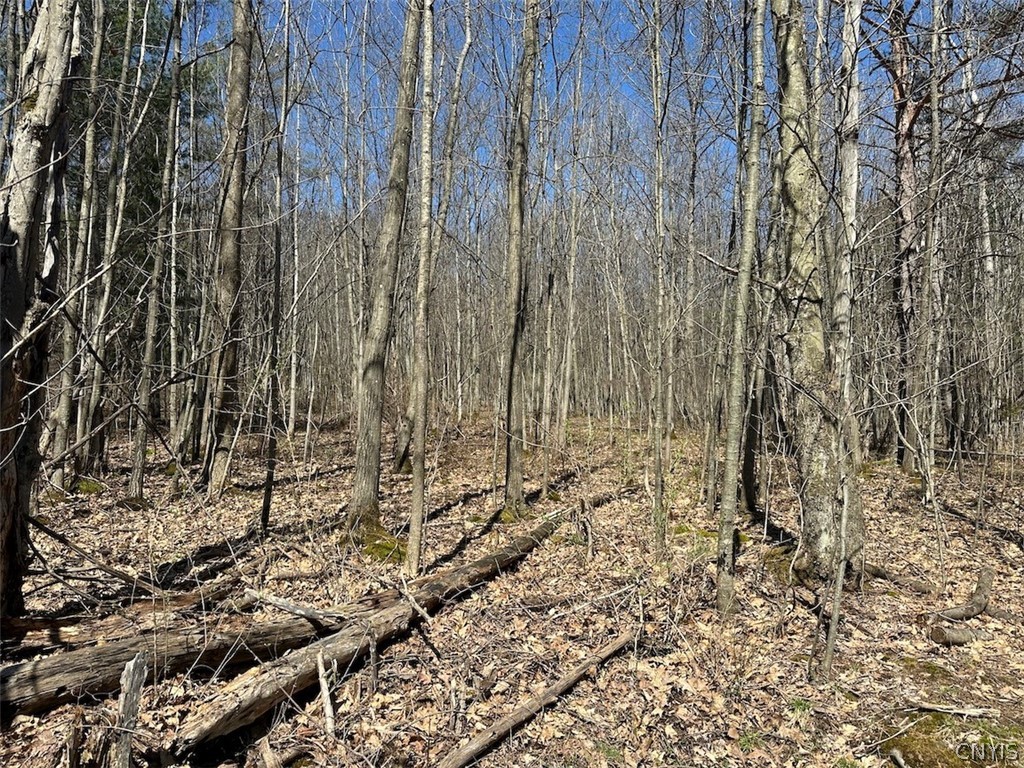 4319 Steenrod Road Friendship, NY 14739 - Photo 40 of 42