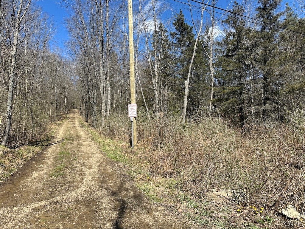 4319 Steenrod Road Friendship, NY 14739 - Photo 41 of 42