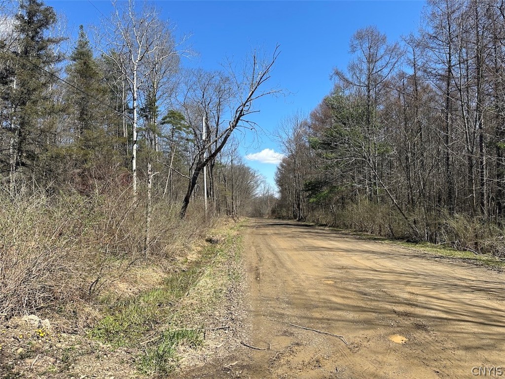 4319 Steenrod Road Friendship, NY 14739 - Photo 42 of 42