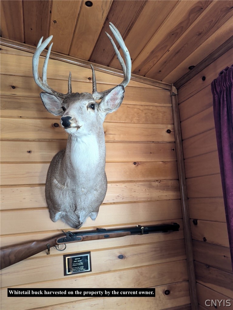 4319 Steenrod Road Friendship, NY 14739 - Photo 9 of 42