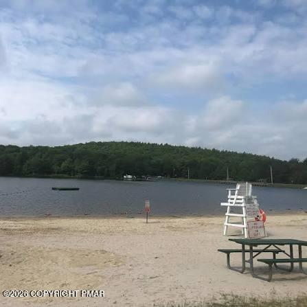 142 Schochs Mill Road Blakeslee, PA 18610 - Photo 30 of 30 Community Lake w/Beach