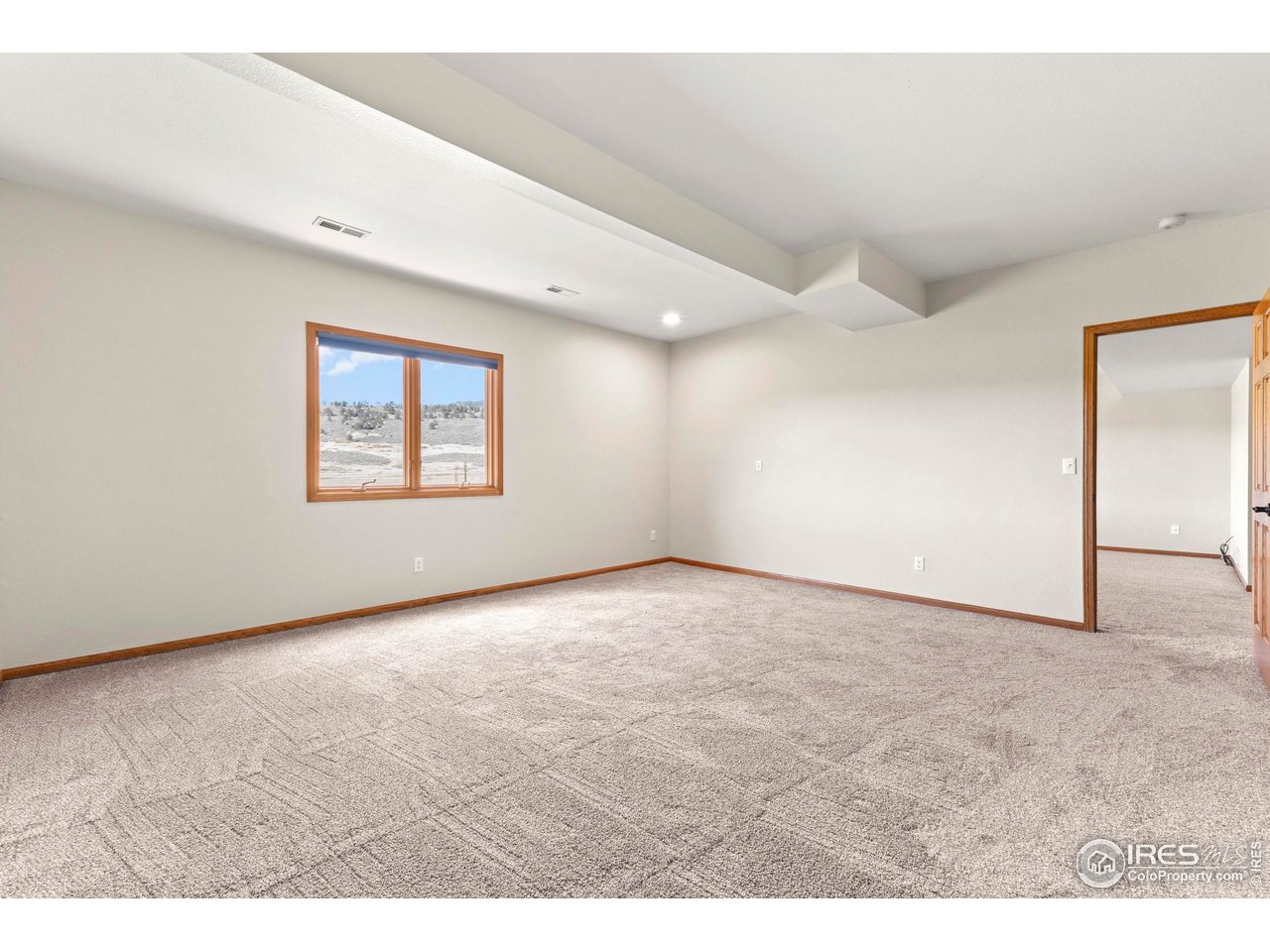 6534 Gindler Ranch Road Fort Collins, CO 80526 - Photo 39 of 48 Basement Bedroom