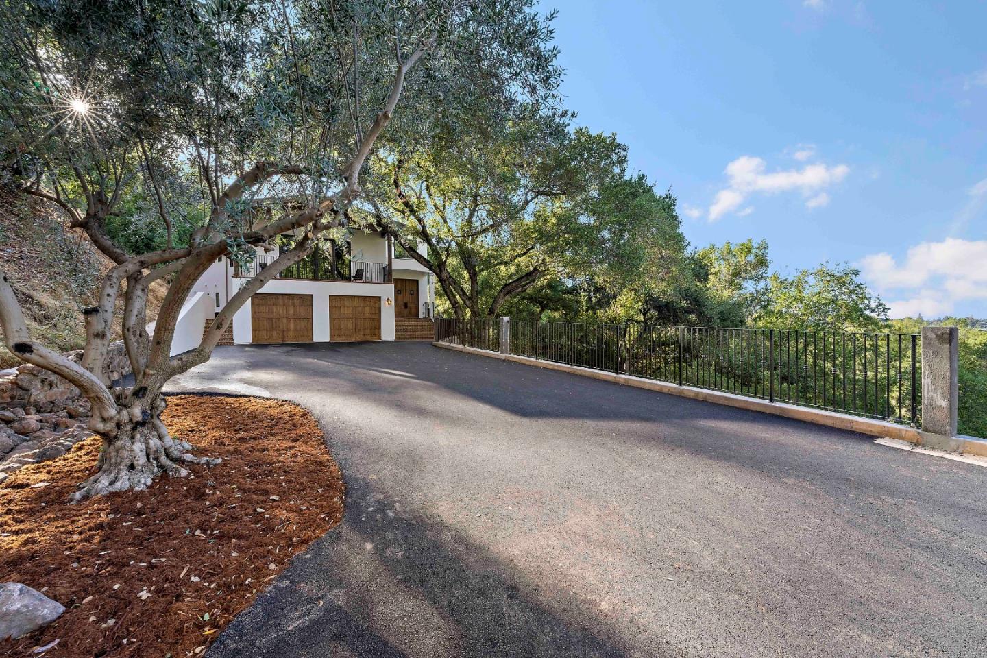 a view of a backyard with plants and large trees
