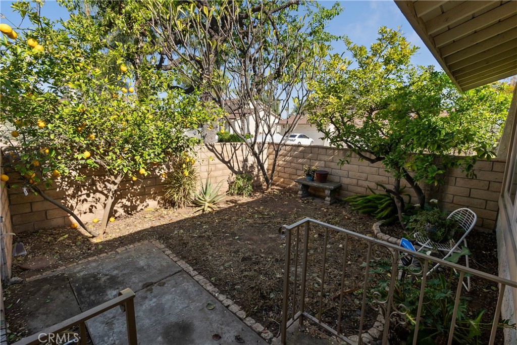 6624 Banyan Place Riverside, CA 92506 - Photo 7 of 41 Front courtyard with mature lemon tree