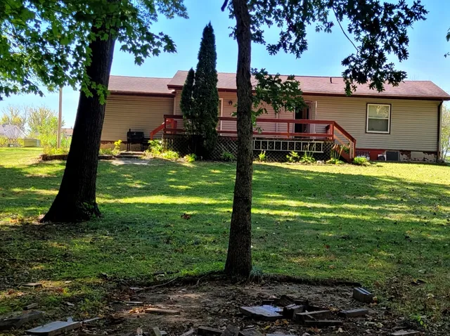 a view of a yard with plants and large trees
