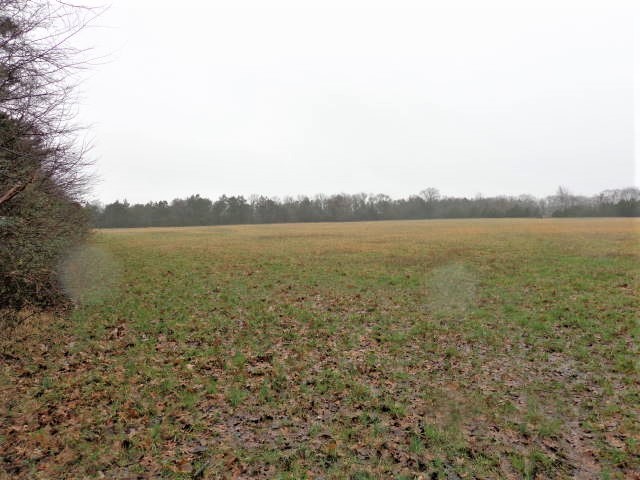 1 Barber Road Bell Buckle, TN 37020 - Photo 1 of 5 a view of an ocean