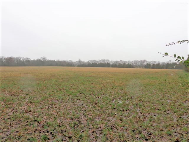 1 Barber Road Bell Buckle, TN 37020 - Photo 4 of 5 a view of an ocean