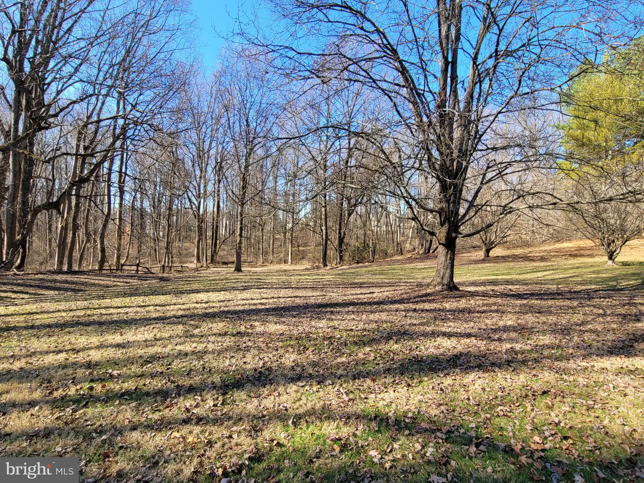 5938 Trotter Road Clarksville, MD 21029 - Photo 38 of 39 Gallery Image 38