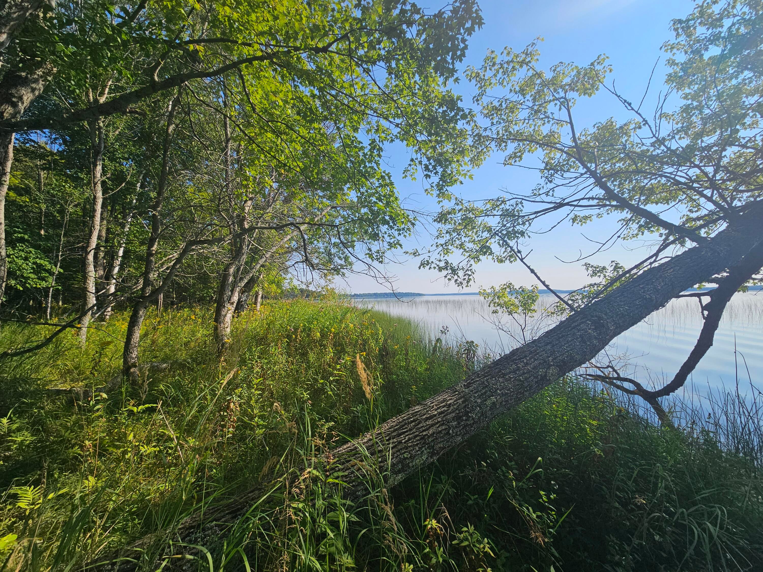 0 Sherman Road Germfask, MI 49836 - Photo 10 of 16 Gallery Image 10