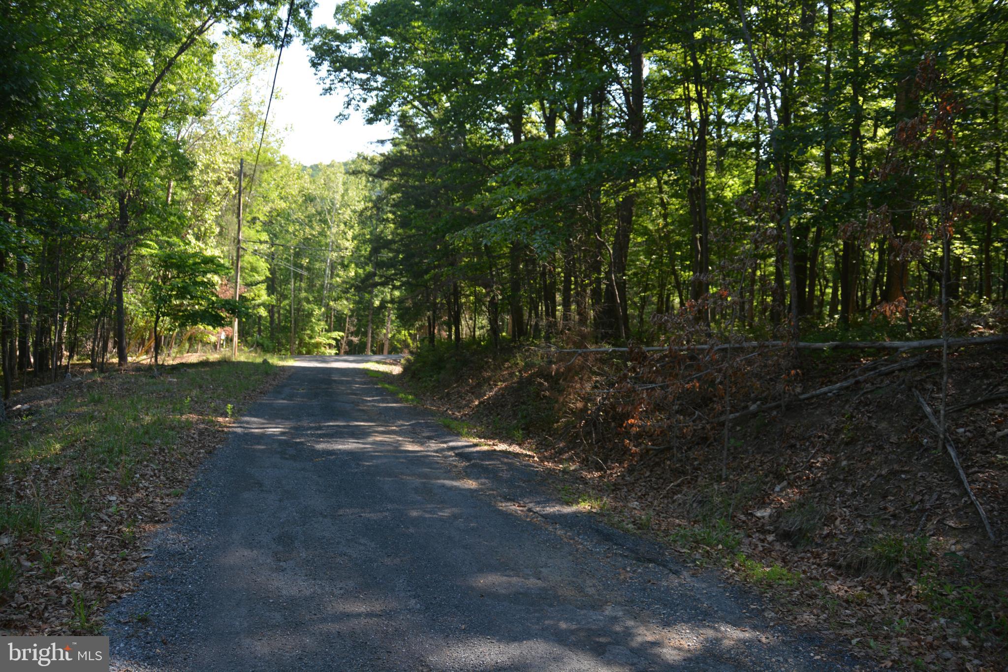 59 60 61 Baldwin Road Front Royal, VA 22630 - Photo 3 of 23 All 3 lots have road frontage