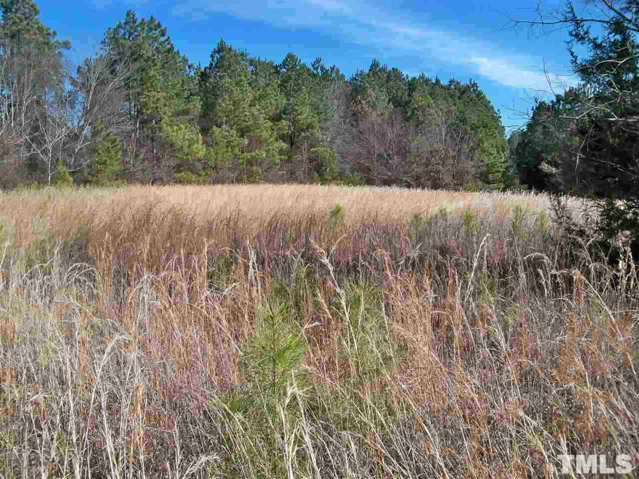 Perry Road, Unit 5 Zebulon, NC 27597 - Photo 7 of 9 Gallery Image 7