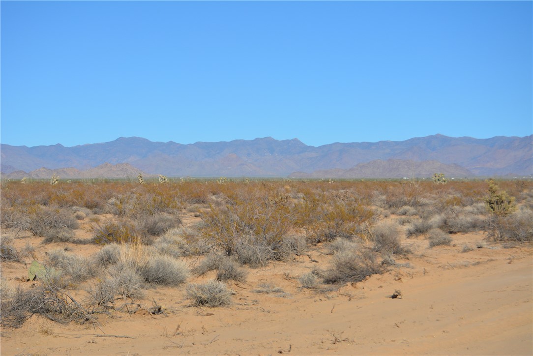 207-35-005 South Arlington Road Yucca, AZ 86438 - Photo 25 of 92