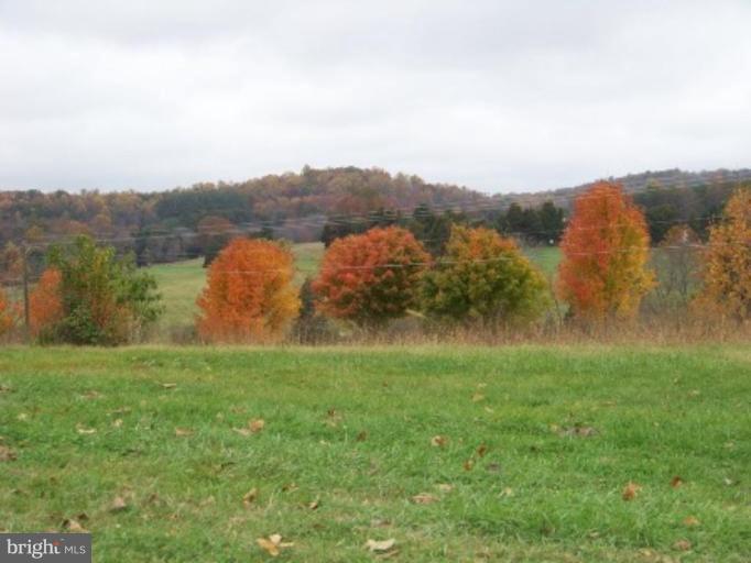 6216 Hoover Road Culpeper, VA 22701 - Photo 4 of 24 view from front
