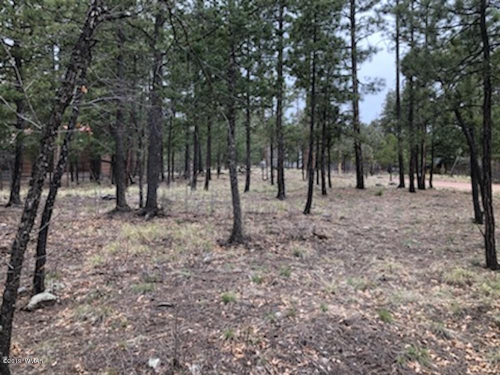 59 Co Road Alpine, AZ 85920 - Photo 2 of 13