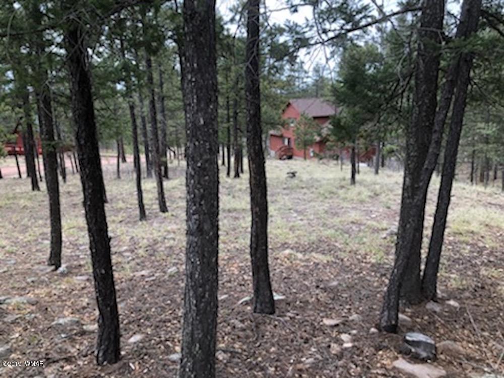 59 Co Road Alpine, AZ 85920 - Photo 3 of 13