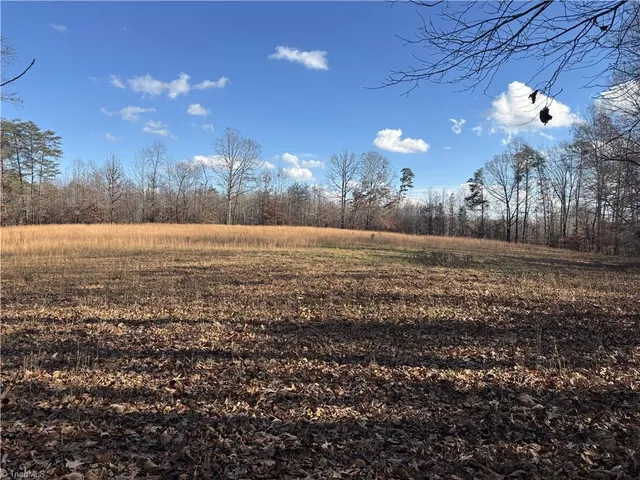 $200,000 | 0 Bear Wds Trail, Mocksville, NC 27028