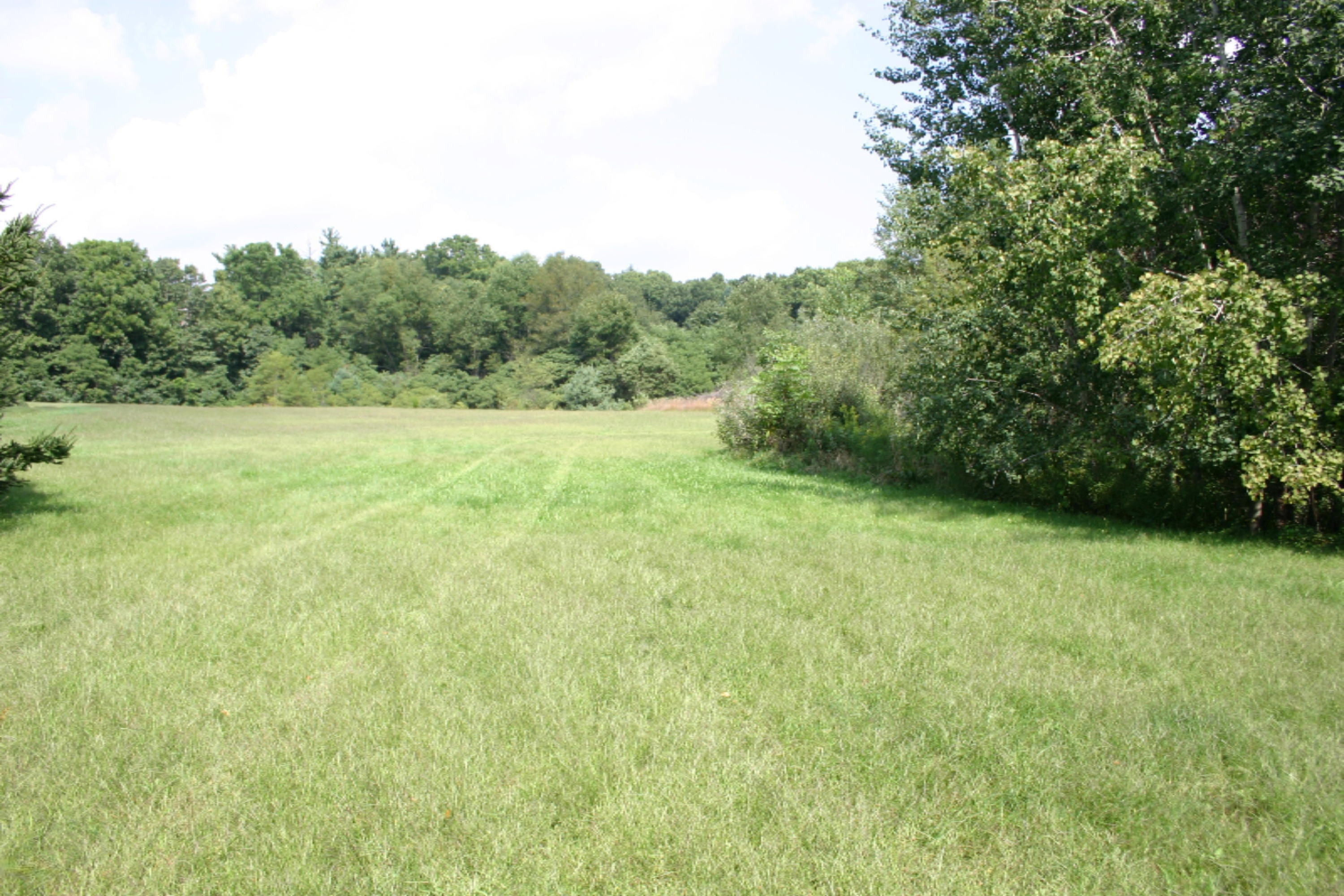 10021 Grape Ridge, Unit 23 Kalamazoo, MI 49009 - Photo 16 of 20 IMG_1435