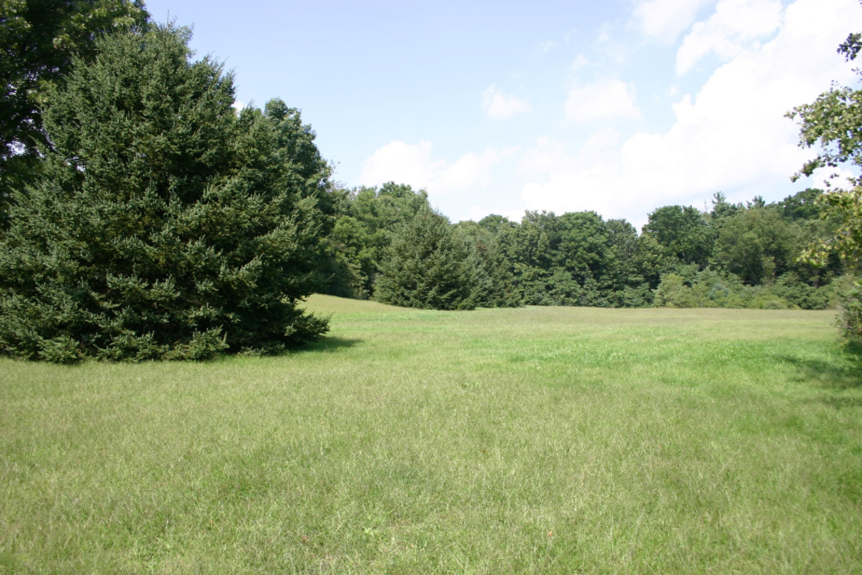 10021 Grape Ridge, Unit 23 Kalamazoo, MI 49009 - Photo 17 of 20 IMG_1436