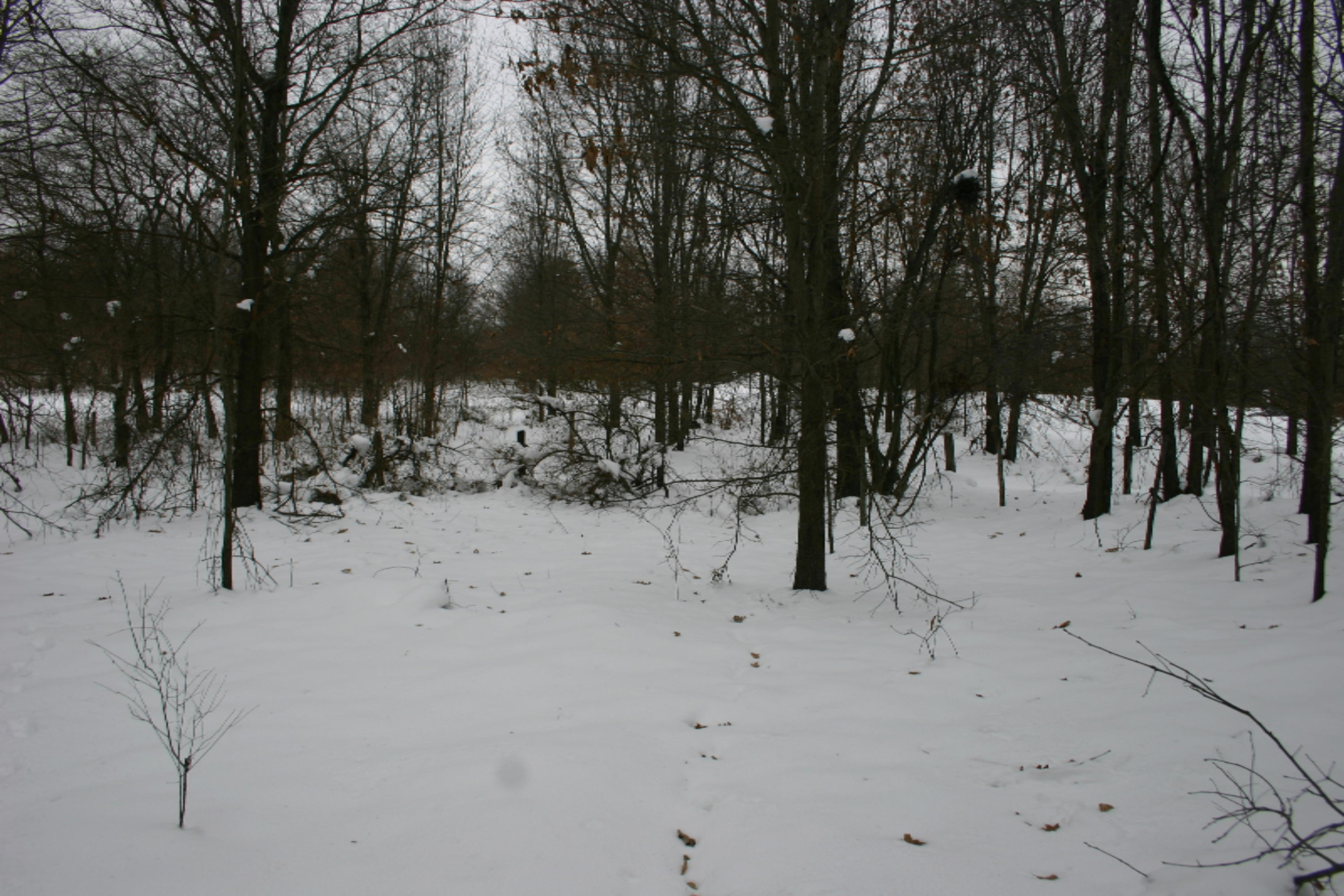 10021 Grape Ridge, Unit 23 Kalamazoo, MI 49009 - Photo 7 of 20 IMG_2008