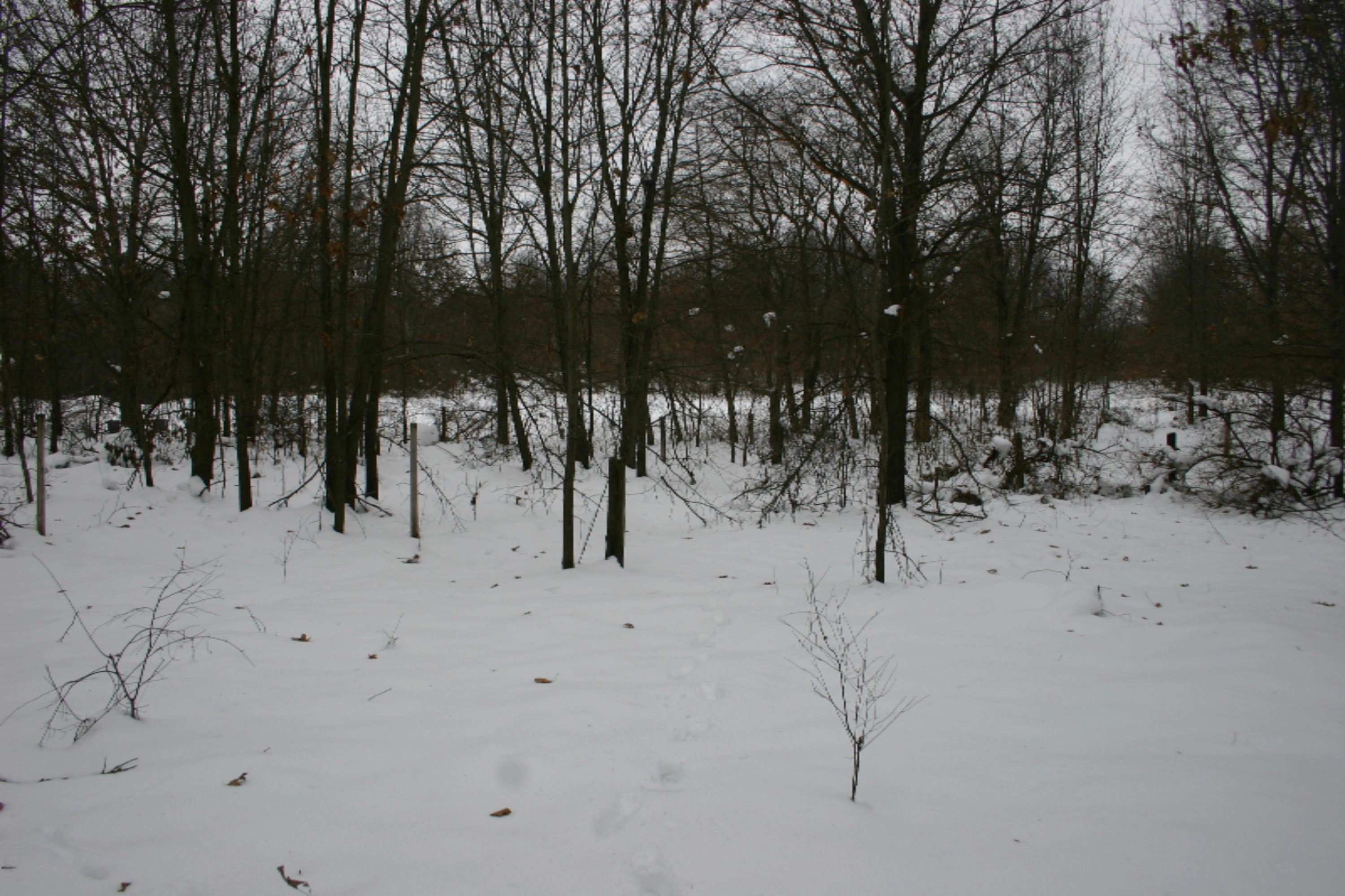 10021 Grape Ridge, Unit 23 Kalamazoo, MI 49009 - Photo 8 of 20 IMG_2009