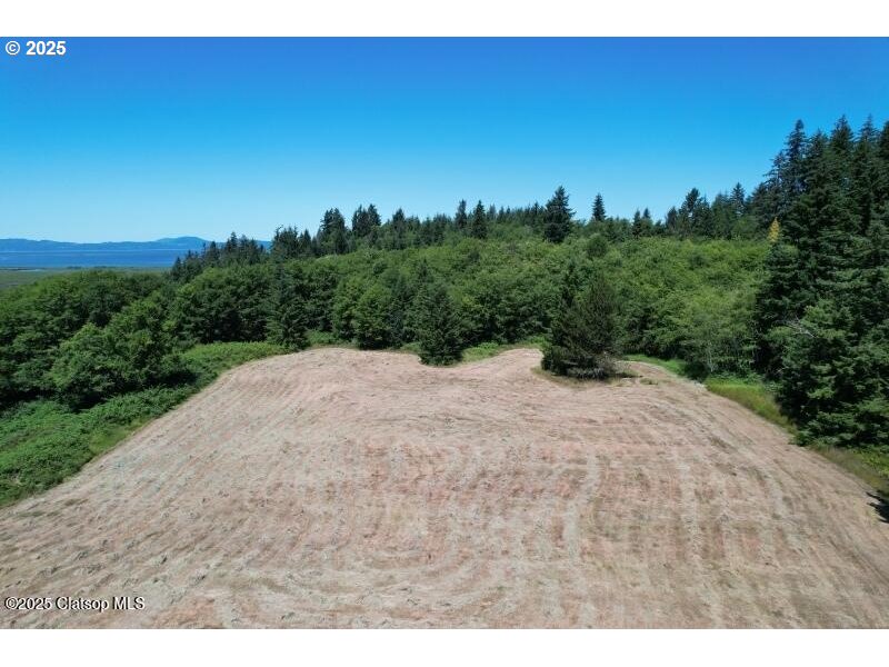 92768 Pearson Road Astoria, OR 97103 - Photo 8 of 48