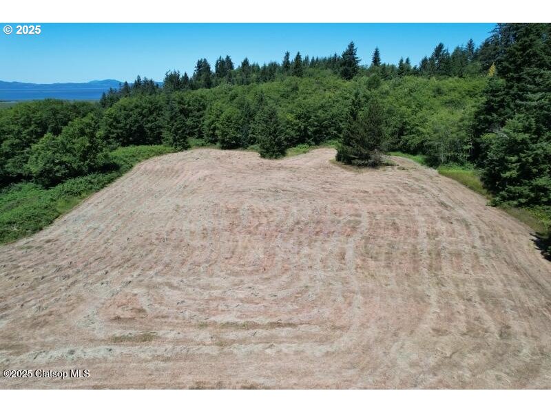 92768 Pearson Road Astoria, OR 97103 - Photo 9 of 48