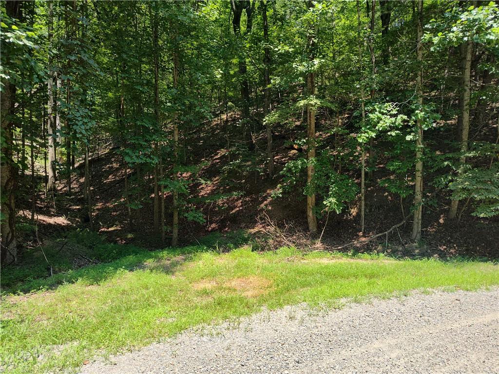 560 Neptune Circle Ranger, GA 30734 - Photo 25 of 30