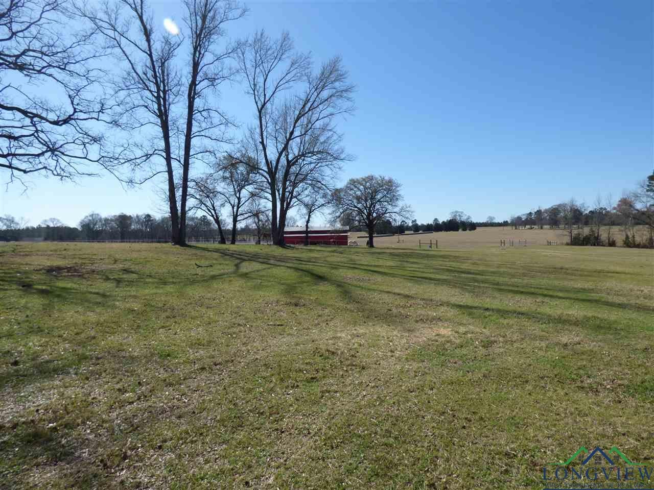 321 Kelly Ranch Road East Jefferson, TX 75657 - Photo 18 of 25 Gallery Image 18