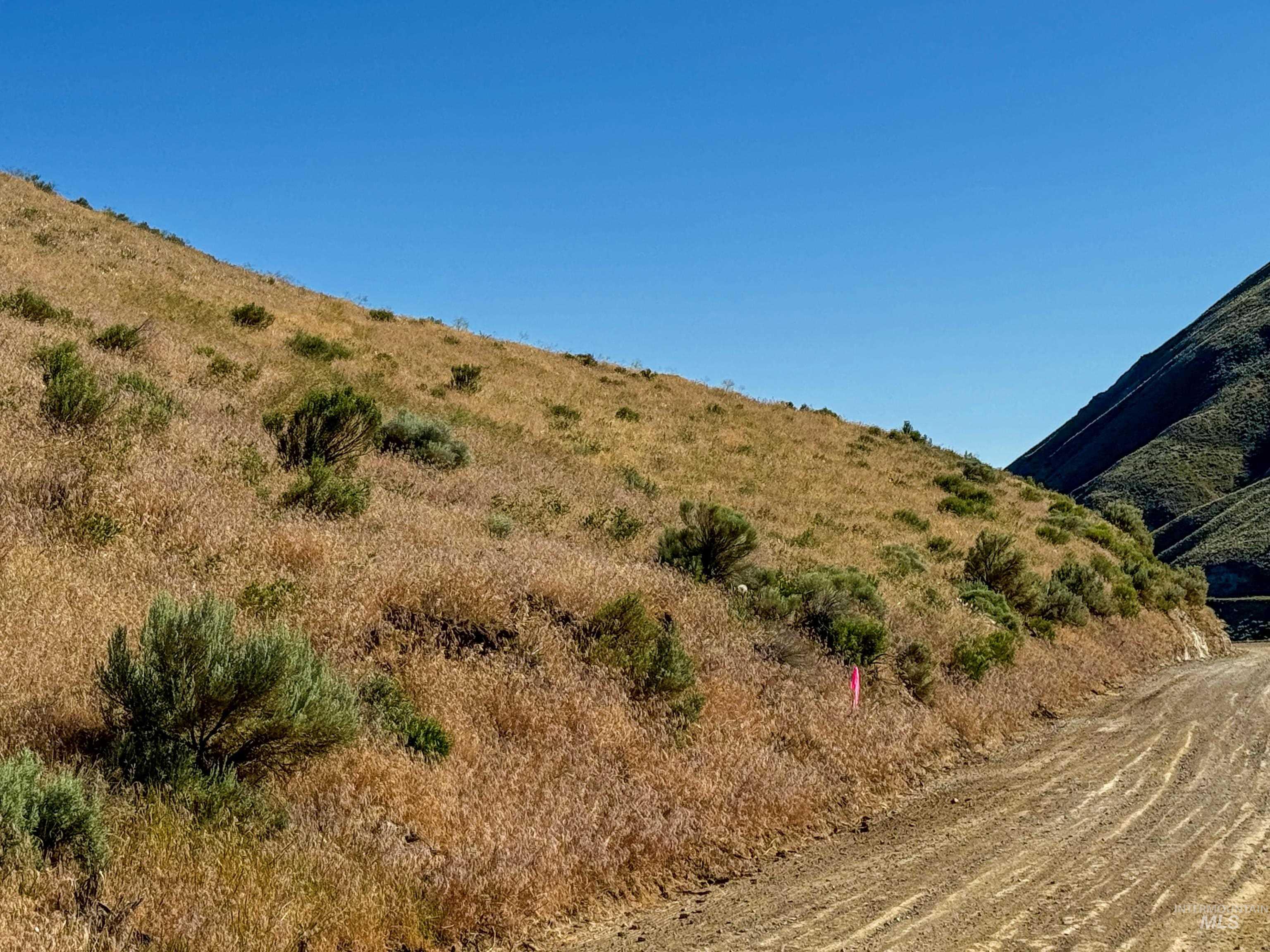 Lot 3-parcel Rock Creek Road Weiser, ID 83672 - Photo 12 of 18