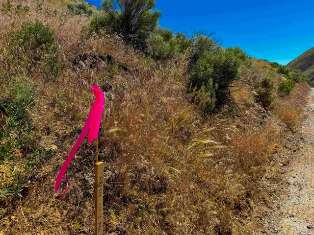 $110,000 | Lot 3-parcel Rock Creek Road, Weiser, ID 83672