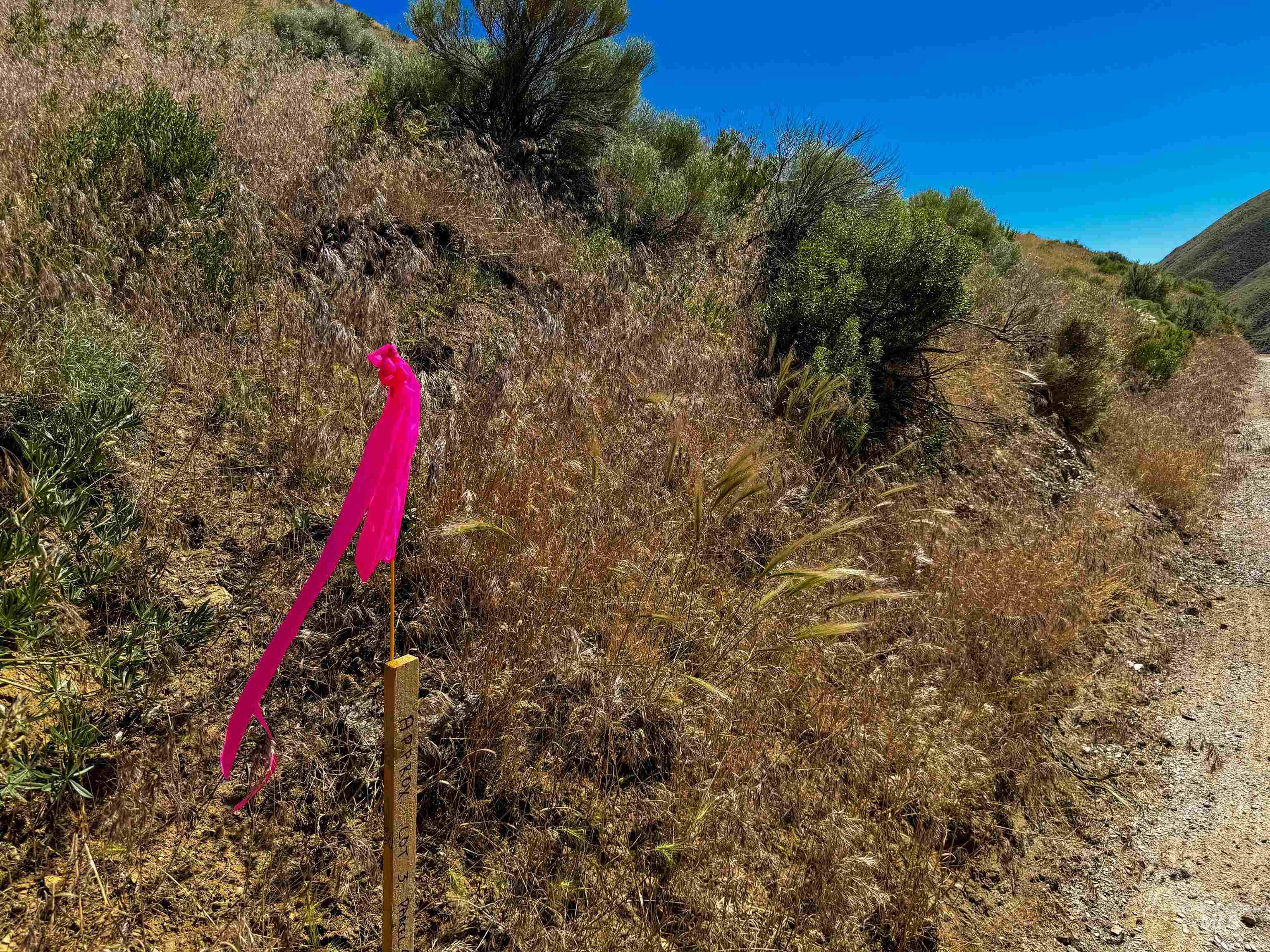 Lot 3-parcel Rock Creek Road Weiser, ID 83672 - Photo 17 of 18
