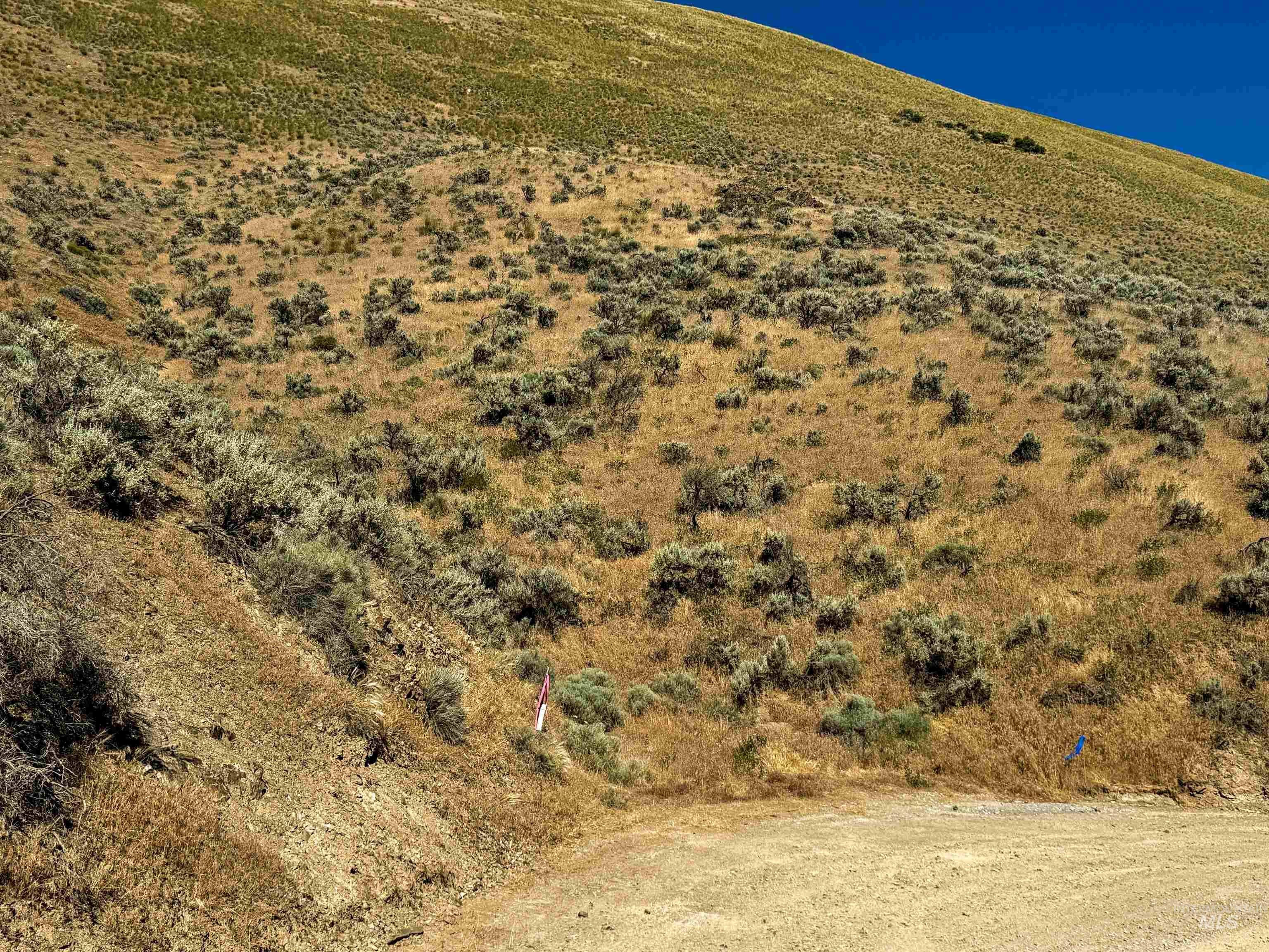 Lot 3-parcel Rock Creek Road Weiser, ID 83672 - Photo 8 of 18